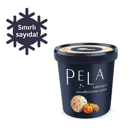 Pela Balkabağı & Zencefilli Kurabiye Gelato